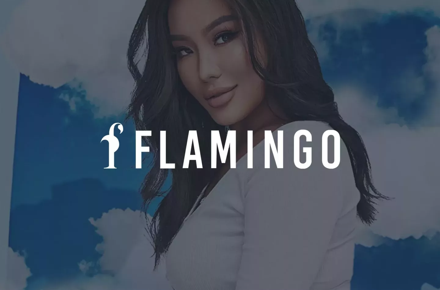 Flamingo Hero